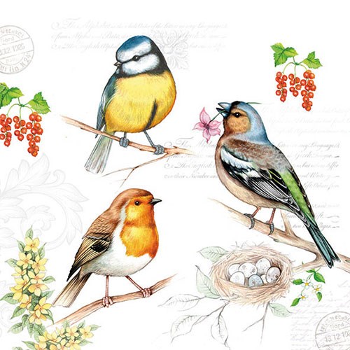 Vogel auf Zweig