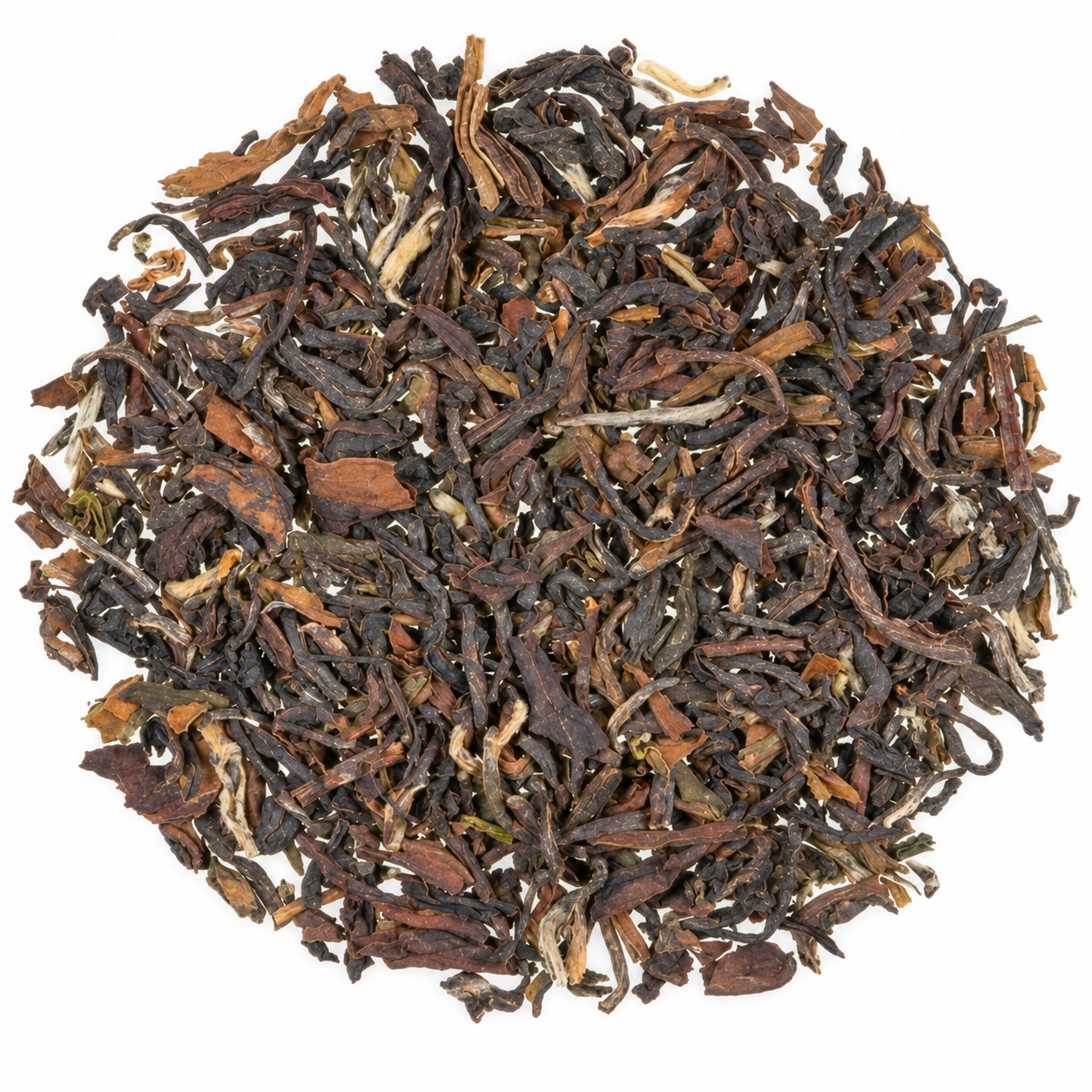 Lose Blätter des Bio Schwarztees Darjeeling Ambootia Second Flush FTGFOP mit dunkelbraunen und kupferbraunen Nuancen