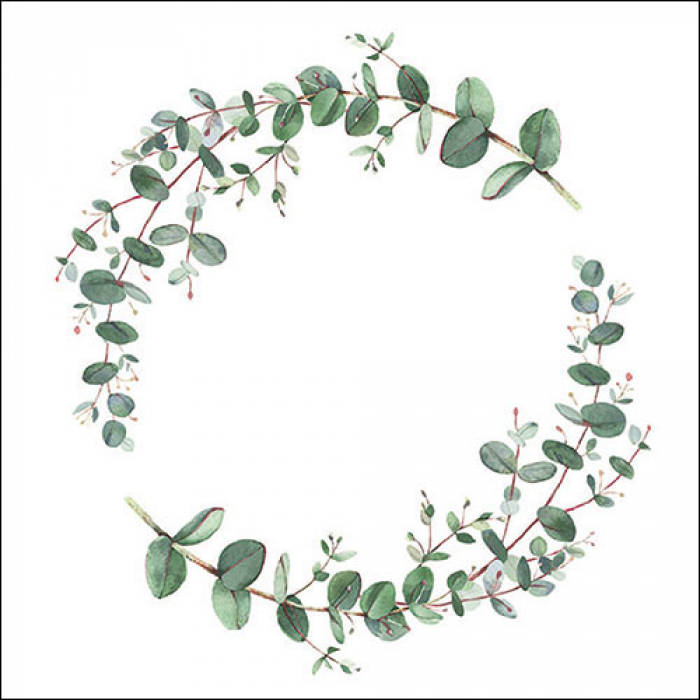 Eukalyptus Kranz