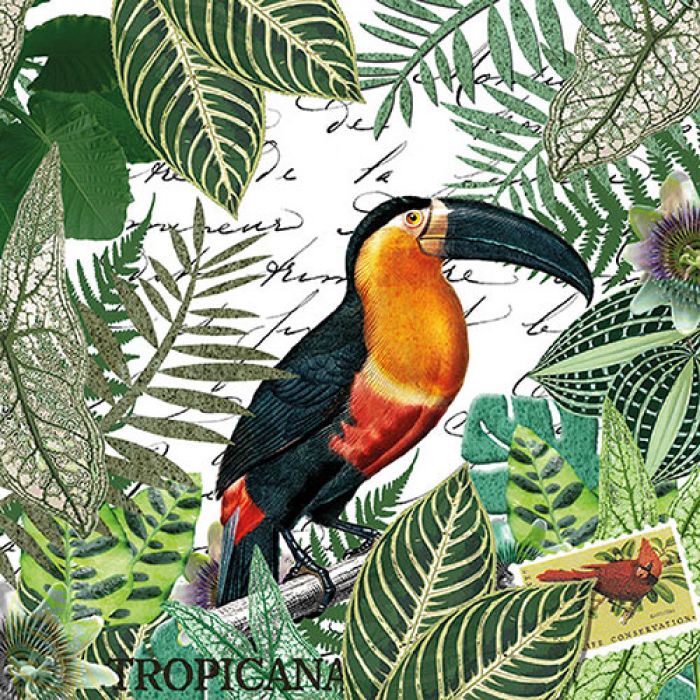 Tucan