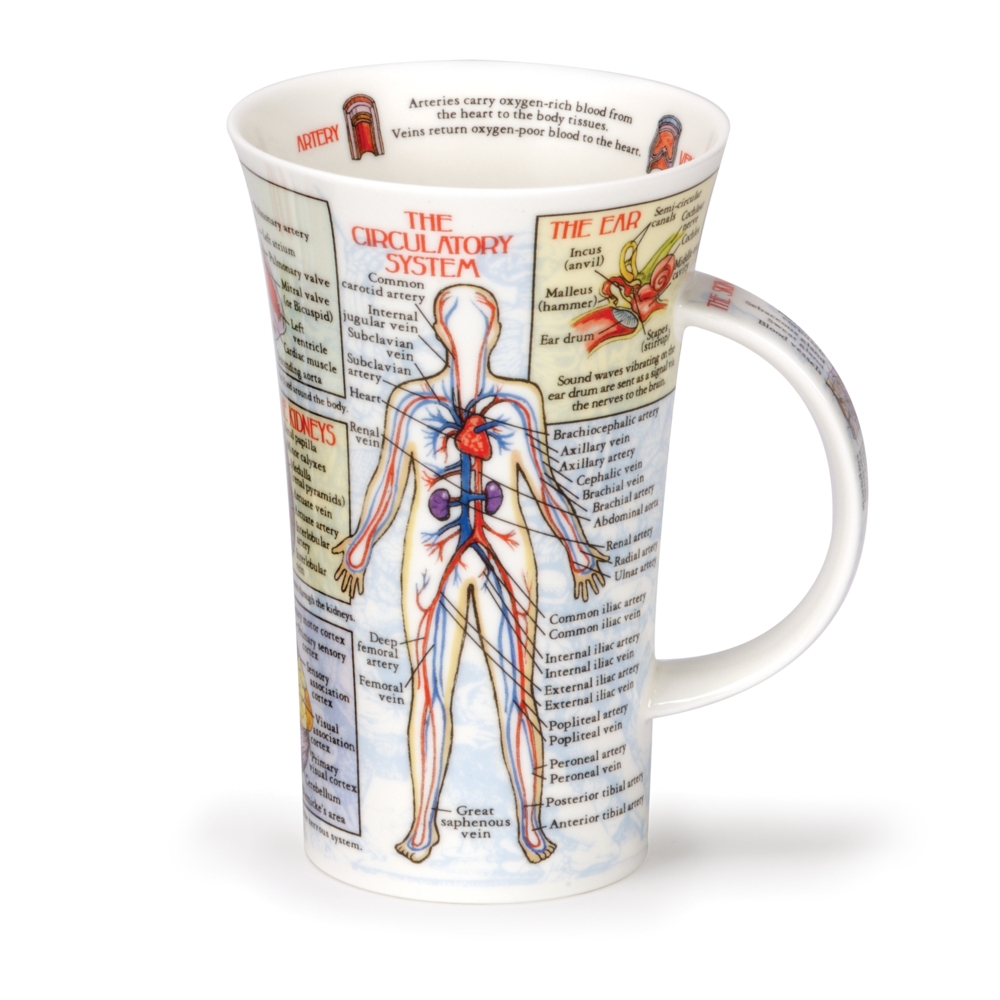 Dunoon Glencoe Bodyworks Fine Bone China Porzellan Becher 5 dl mit Körpermotiv von Caroline Dadd