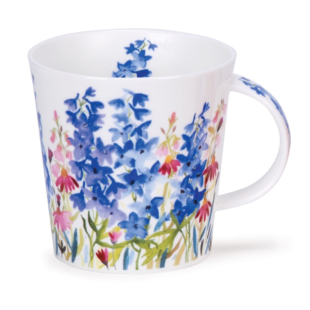 Cairngorm\n Campagne Delphinium