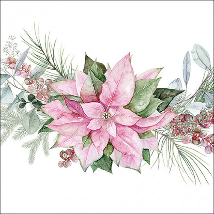 Weihnachtsstern rosa