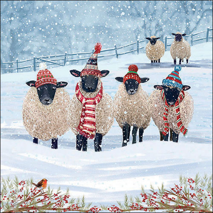 Schafe im Schnee