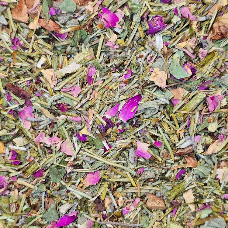 Waldzauber Bio Kräutertee – würzig-harzige Kräutermischung mit Kiefernnadeln, Rosmarin, Salbei, Galgant und Rosenblüten