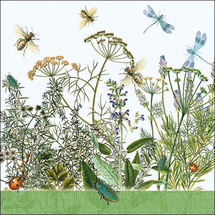 Wiesenblumen
