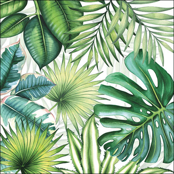 Tropical Flowers