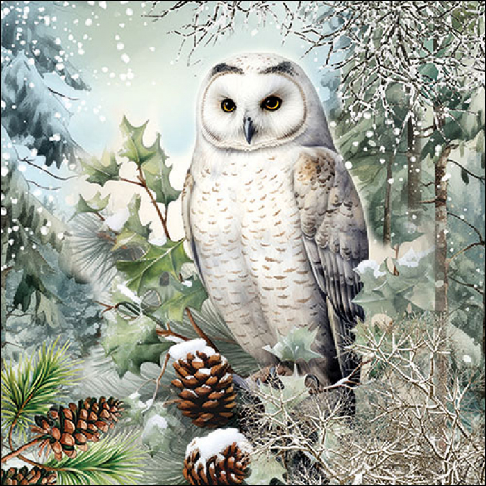 Schneeeule