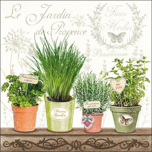 Kräuter der Provence