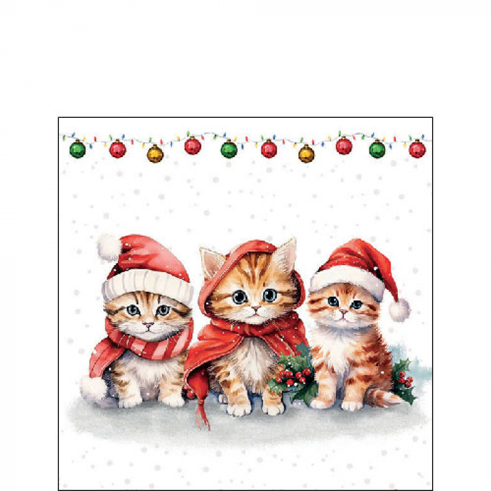 Weihnachtskätzchen