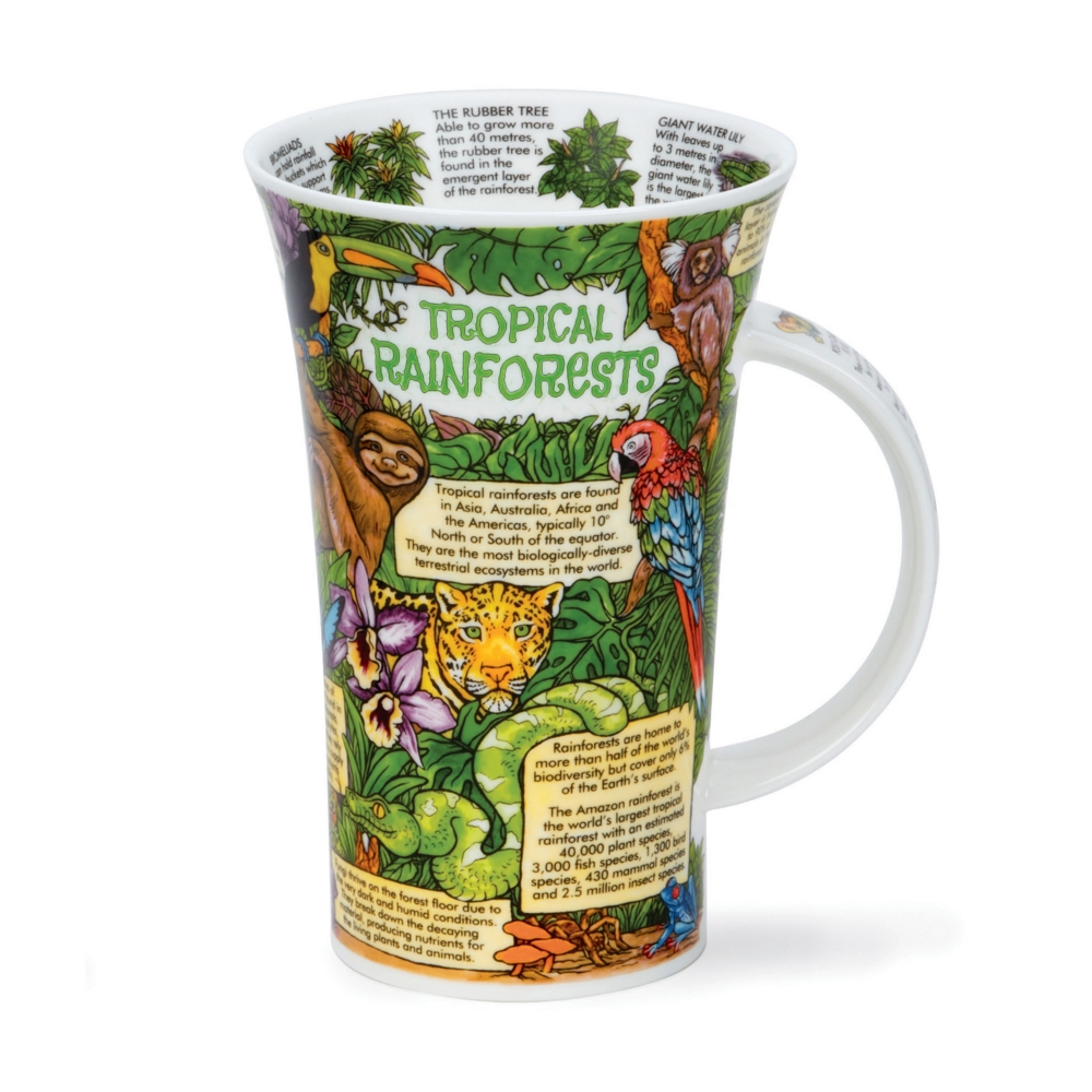 Dunoon Glencoe Tropical Rainforests Fine Bone China Porzellan Becher 5 dl mit Regenwaldmotiv von Caroline Dadd
