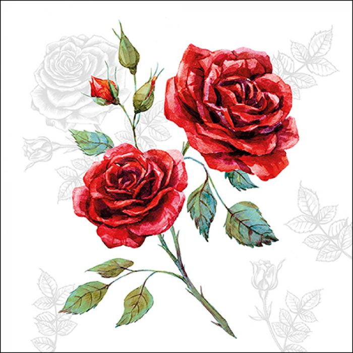 Rose Grace