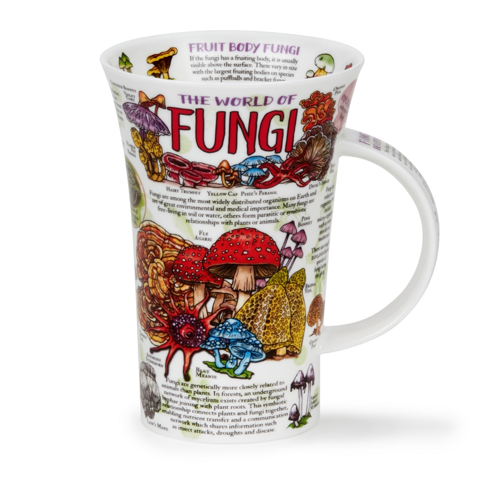 Dunoon Glencoe World of Fungi Fine Bone China Porzellan Becher 5 dl mit Pilzmotiv von Caroline Dadd