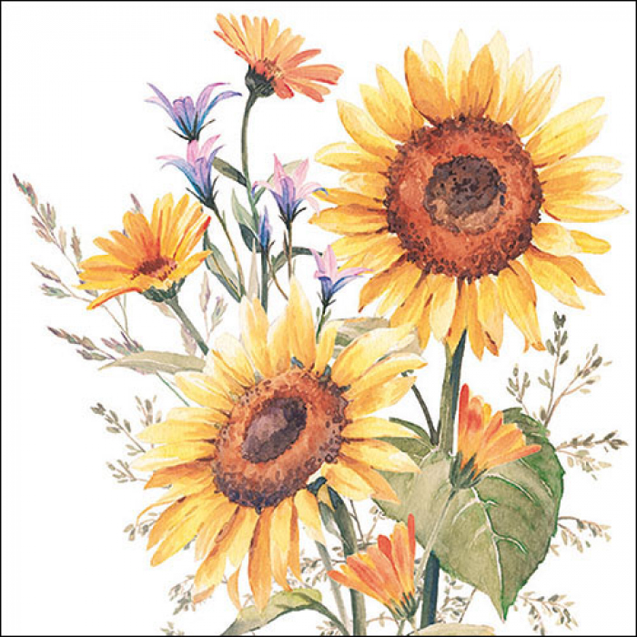 Sommerblumen