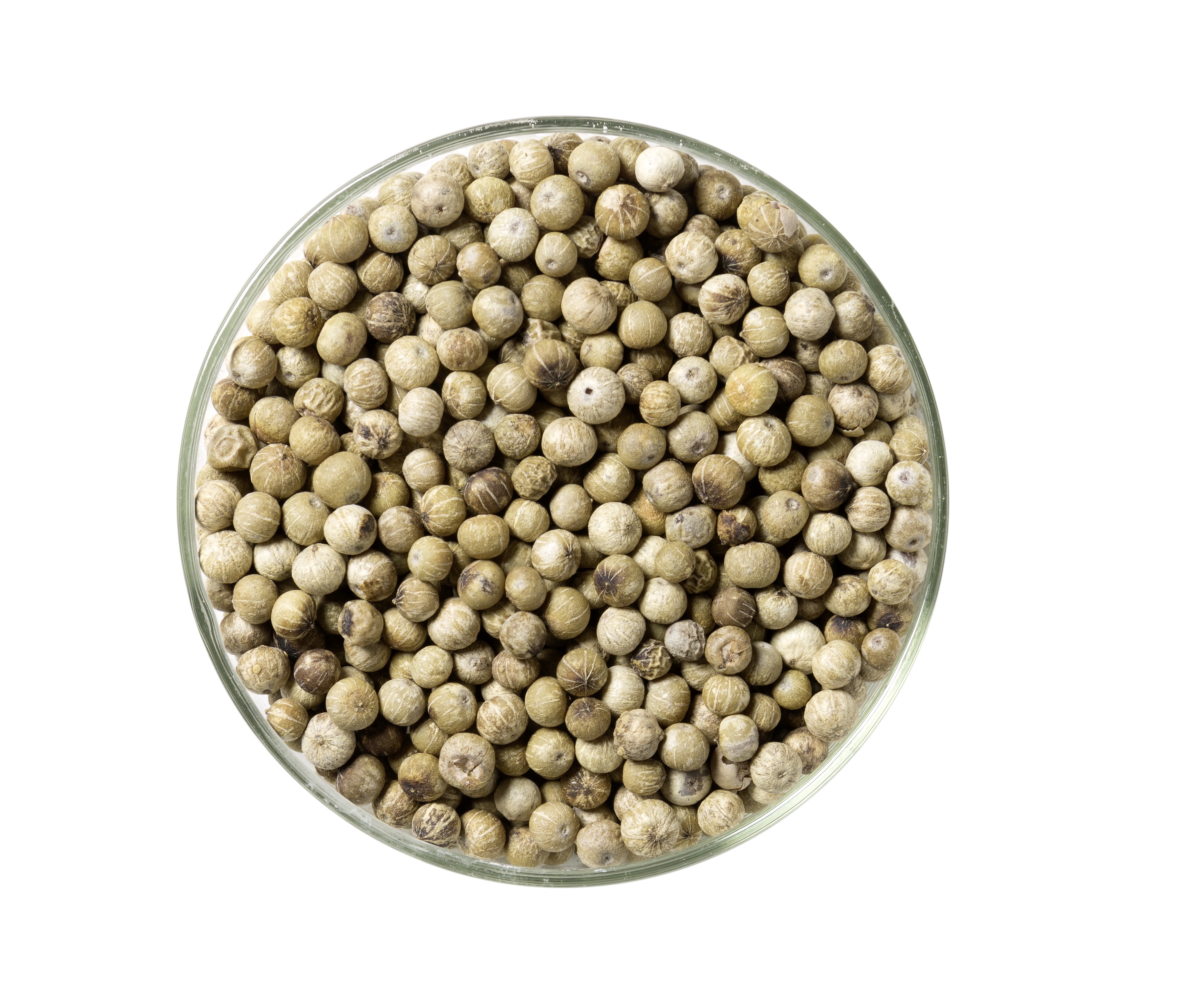 Kampot Pfeffer g.g.A.\n weiss, Bio 