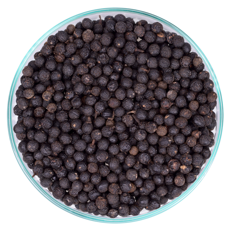 Verbena Pfeffer \n ganz