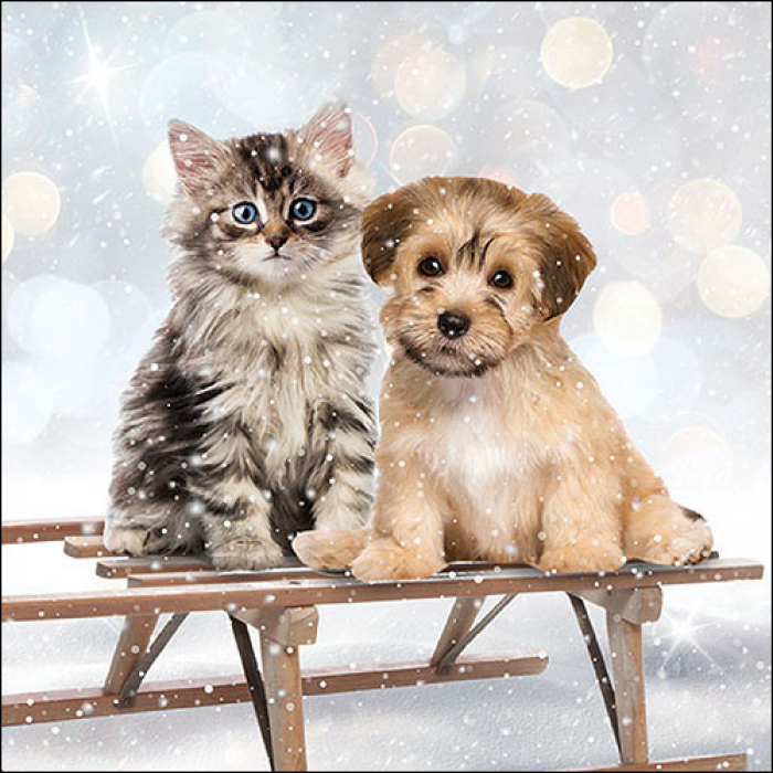 Serviette Mimi & Bo mit Katze und Hund auf einem Schlitten im Schnee Mimi & Bo – winterliche Serviette mit