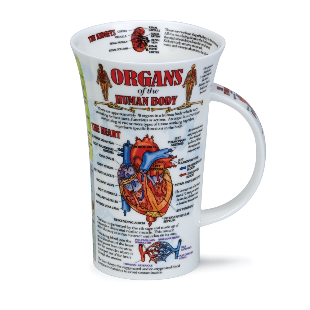 Dunoon Glencoe Organs of the human body Fine Bone China Porzellan Becher 5 dl mit Anatomie- und Organmotiv von Caroline Dadd