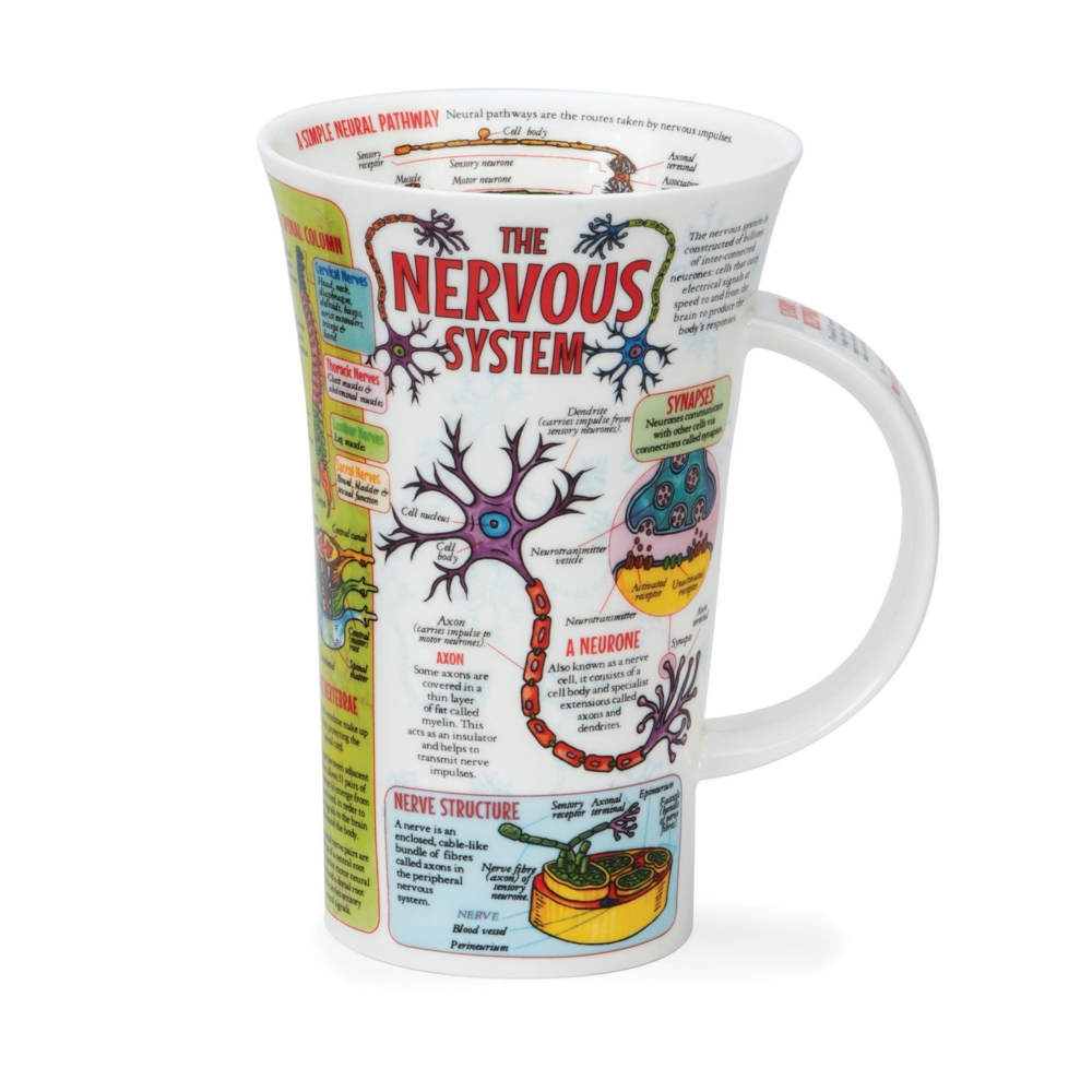 Dunoon Glencoe The Nervous System Fine Bone China Porzellan Becher 5 dl mit Nervensystemmotiv von Caroline Dadd