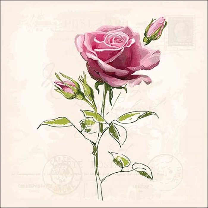 Vintage Rose